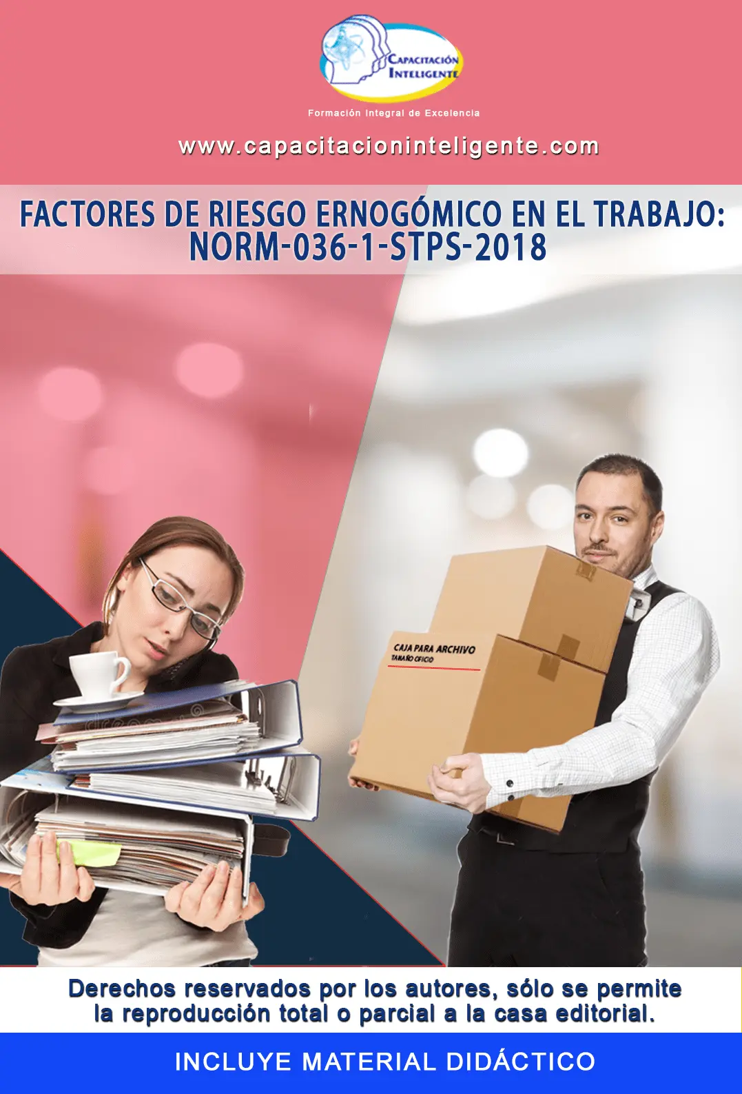 Factores de Riesgo Ergonómico en el Trabajo: NOM-036-1-STPS-2018
