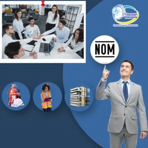 Normatividad Organizacional, Específica y por Producto – 7 Días