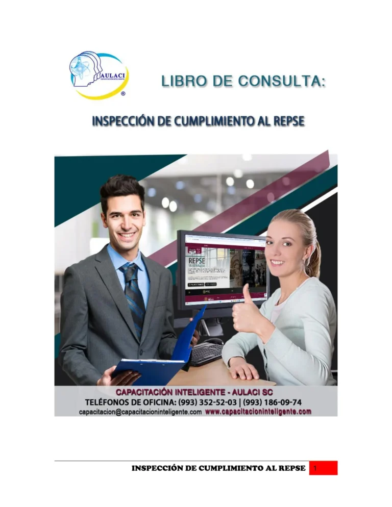 MANUAL_INSPECCIONES REPSE-01