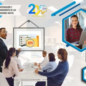 Blindaje STPS Capacitación: Comisión Mixta sin Riesgo